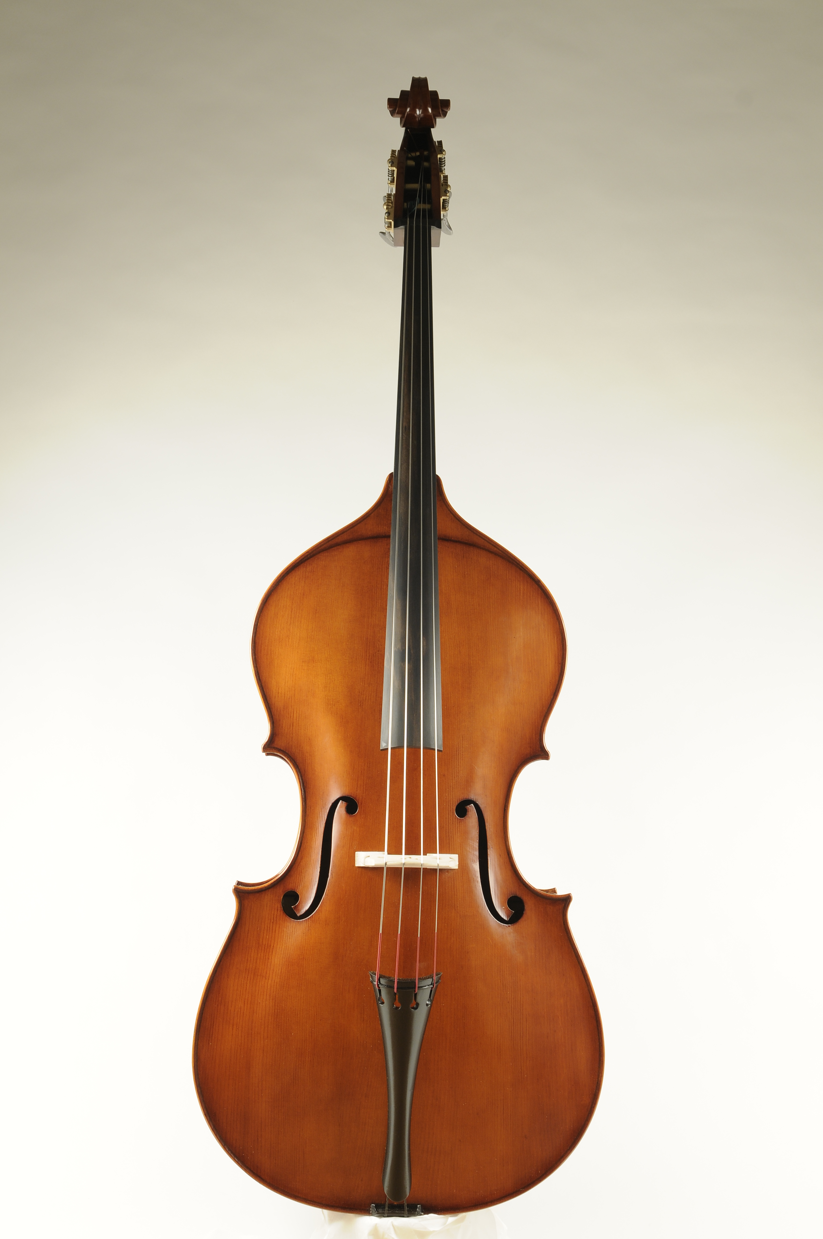 Contrabbasso Nicola Bergonzi